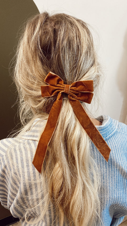 Velvet Ribbon Hair Clip (Brown)